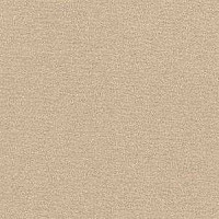 Ковролин Radici Nexus Panna 8201 фото 1 | FLOORDEALER